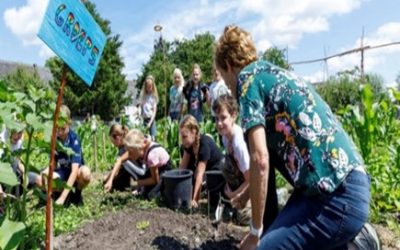 Gratis-zadenpakket-van-rijk-zwaan
