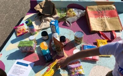 Gratis duurzaamheidslessen