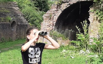 Maand van de geschiedenis