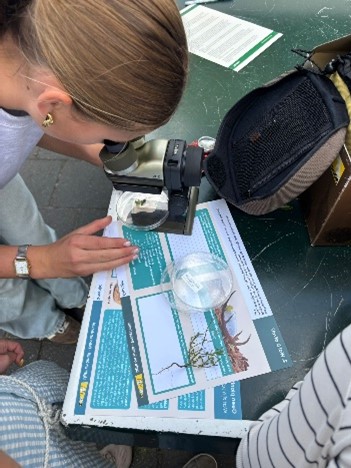 Gebruik microscopen en werkbladen