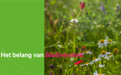 Gratis biodiversiteitsles gemeente Zaltbommel